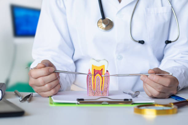 Best Urgent Dental Care for Toothache in Twin Lake, MI